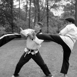 Systemic Martial Arts