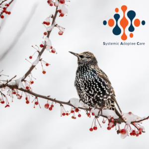 Adoptieopstellingen, Winterretraite